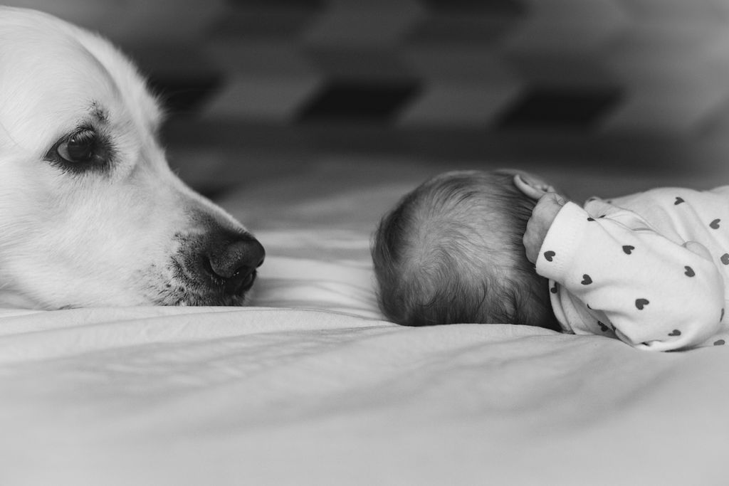 NAISSANCE6